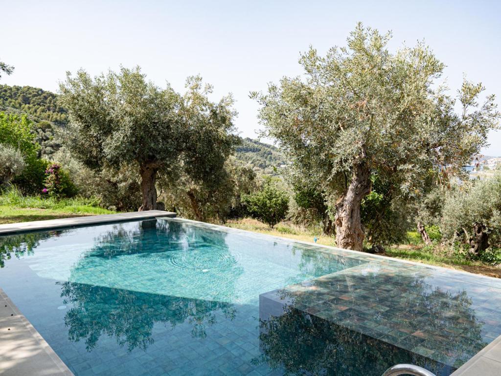 Dohos Skiathos Suites Ksanemos 외부 사진
