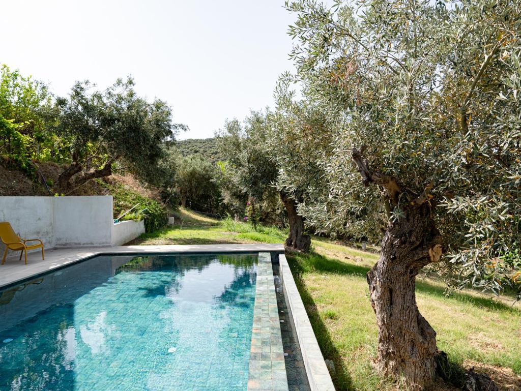 Dohos Skiathos Suites Ksanemos 외부 사진